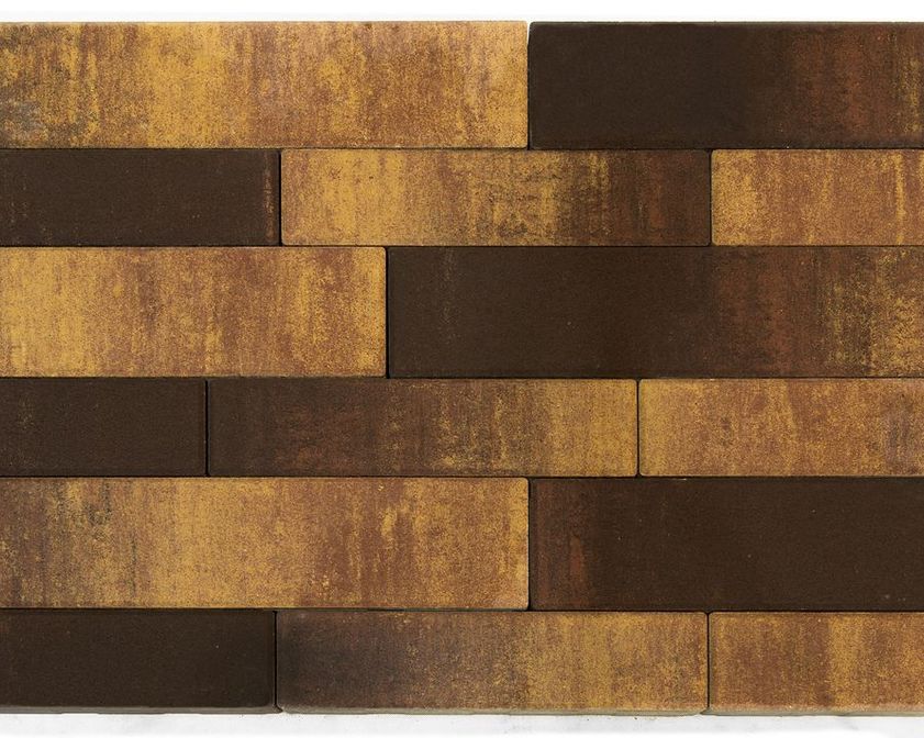 ТРОТУАРНАЯ ПЛИТКА BRAER ДОМИНО COLOR MIX Тип 24 "Сафари»