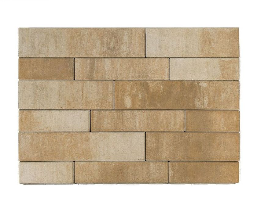 ТРОТУАРНАЯ ПЛИТКА BRAER ДОМИНО COLOR MIX «Плато»