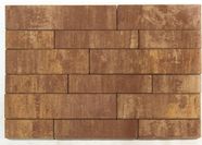 ТРОТУАРНАЯ ПЛИТКА BRAER ДОМИНО COLOR MIX Тип 1 "Каньон»