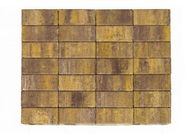 Тротуарная плитка BRAER Прямоугольник Color Mix 15 "Степь"