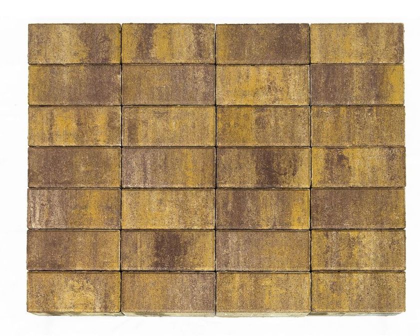 Тротуарная плитка BRAER Прямоугольник Color Mix 15 "Степь"