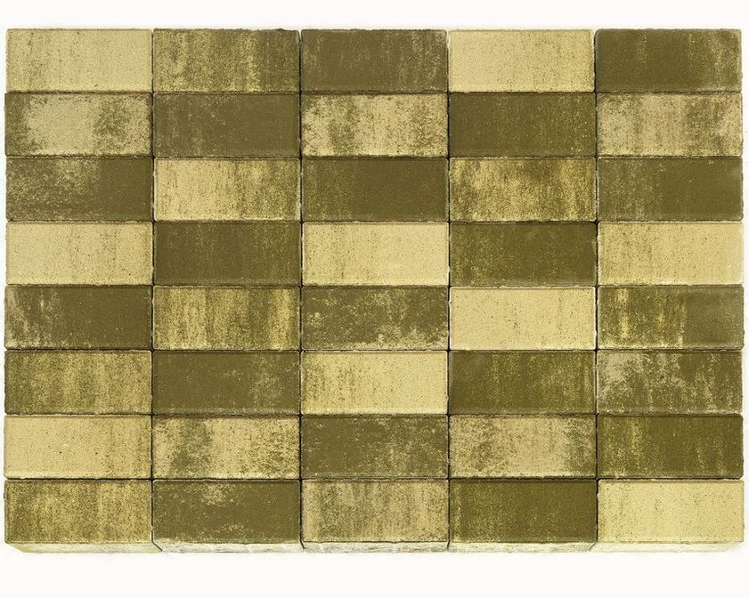 Тротуарная плитка BRAER Прямоугольник Color Mix Тип 23