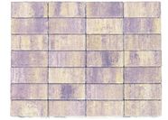 Плитка тротуарная BRAER Прямоугольник Color Mix Тип 17 "Прайд"