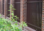 КЕРАМИЧЕСКИЙ ОБЛИЦОВОЧНЫЙ КИРПИЧ ПУСТОТЕЛЫЙ ГОЛИЦЫНСКИЙ КЗ, ВЕЗУВИЙ, ВИНТАЖ