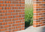 Керамический облицовочный кирпич пустотелый ЛСР (RAUF)