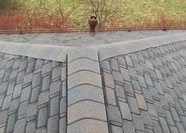 Гибкая черепица Технониколь "Континент", Европа