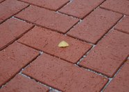 ТРОТУАРНАЯ КЛИНКЕРНАЯ БРУСЧАТКА "КЕРАМЕЙЯ", БрукКерам Классика, Рубин