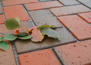 ТРОТУАРНАЯ КЛИНКЕРНАЯ БРУСЧАТКА "КЕРАМЕЙЯ", БрукКерам Классика, Гранит