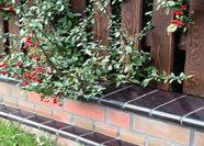 Керамическая клинкерная парапетная плитка для забора ZG CLINKER