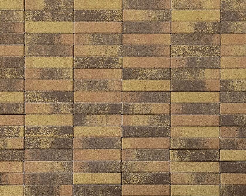 Плитка тротуарная BRAER Паркет, Color Mix, Прайд