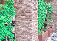 Искусственный камень Леонардо Стоун, ШАМПАНЬ