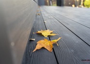 Террасная доска ДПК Grand Line